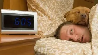 When You Get Up In The Morning | Pet Habits!!