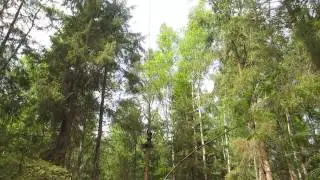 Кошкино парк. Полет