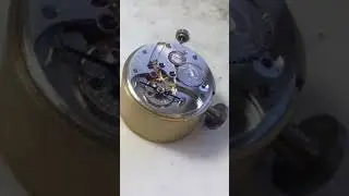 The Platinum Watch
