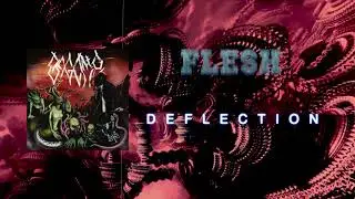 FLESH - DEFLECTION [Official Audio]