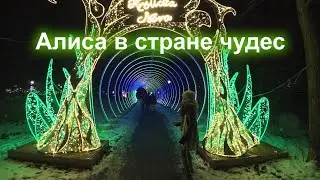 Тематический парк 