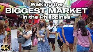 The BIGGEST MARKET in the Philippines - Walking Tour [4K]