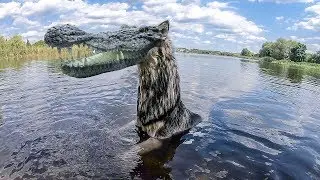 Собаки и Лохнесское чудовище в Ольховке