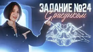 Задание с рисунком | Задание 24 | Геохронологическая таблица | ЕГЭ-2025 по биологии