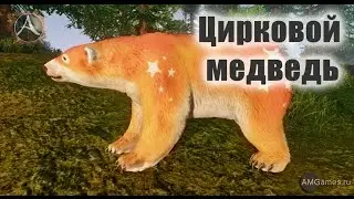Цирковой медведь в ArcheAge