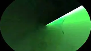 radar sweep