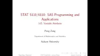 SAS - 3D - Variable Attributes