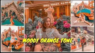 Tutorial Edit Foto Ala Selebgram | Moody Orange Tone | Lightroom Mobile