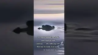 Perseverance