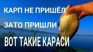 КИЛОГРАММОВЫЕ КАРАСИ НА БОКОВОЙ КИВОК И НА ПОПЛАВОК!!!