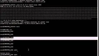 Juniper Logical Systems Lab 1