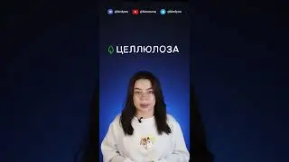 Клеточные стенки для ЕГЭ по биологии