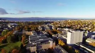 Haust @NTNU Gløshaugen