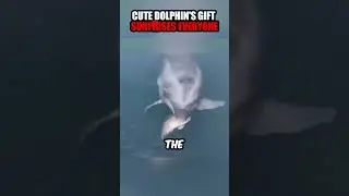 Cute Dolphin Surprised Humans ❤