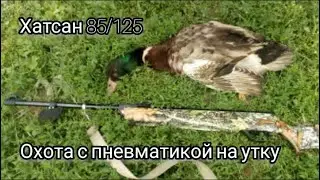 Осенняя ОХОТА на УТКУ с пневматикой ХАТСАН 125. Обзор пневматической винтовки хатсан 85/125