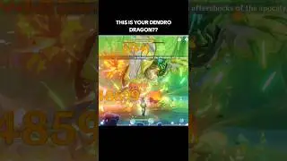 This Your Dendro Dragon? | Genshin Impact | 