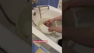 Как сделать полотенца мягкими | Лайфхаки от Нечетова | nechetoff | ПОДПИШИСЬ ⬇️🔔 