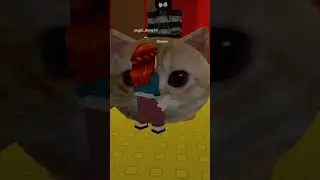 el gato cat. #roblox #shorts