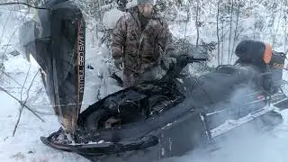 Охота на соболя!!
