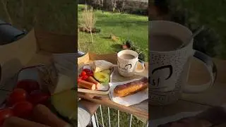 Приготовим со мной завтрак. Вкусный яичный рулет с тортильей 