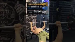 Качаем грудные. Жим лежа штанги. 