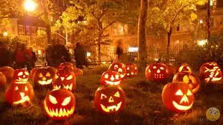 Хэллоуин - Переходы для ProShow Producer/ Halloween - Transitions for ProShow Producer