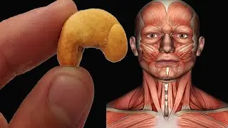 What Happens When You Start Eating 4 Cashews Every Day