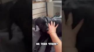 Не слушается! 