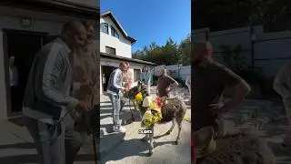Вот такой подарок для любимой тещи🥳 