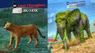 The Wolf - Lion And Forest Elephant Champion In Featured Tropical Forest 🏆
