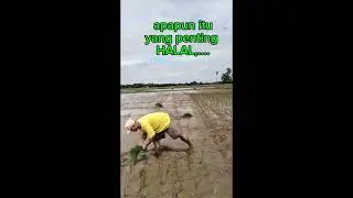 Kerja apa saja yg penting HALAL