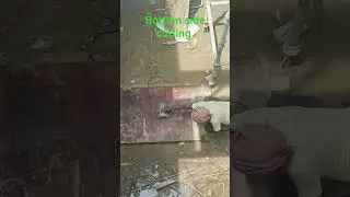 #construction