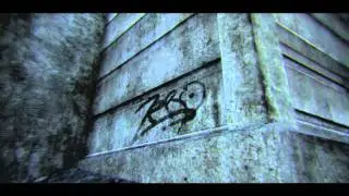 Zebo @ Wall Graffiti