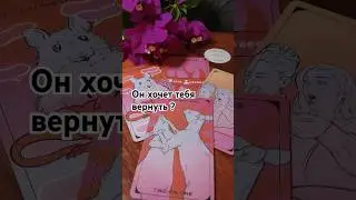 Он хочет тебя вернуть ?
