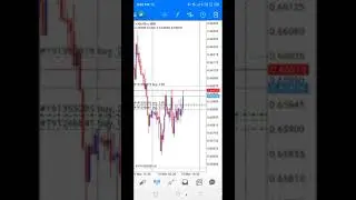 NFP Killed March 10/2023... 