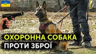 ОХОРОННА СОБАКА І ЗБРОЯ