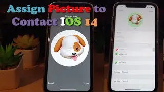 Assign Picture to Contact iPhone (IOS 14)