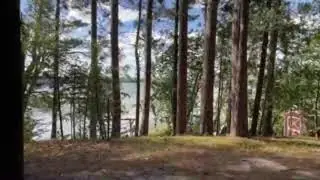 Windy Cabin Afternoon