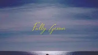 Aggressive - Fully Grown (Official Audio)