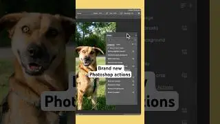 Brand new Photoshop actions!