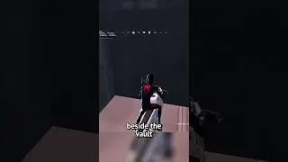 NEW VAULT GLITCH!