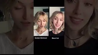 #pov