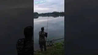 Рибалка на карпа восени #karpfishing #карпфішинг
