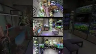 ❤️‍🔥Ждём вас ежедневно❤️‍🔥 #МашаБлюм -в навигаторе #aquascape #aquarium #mashabloom #аквариум
