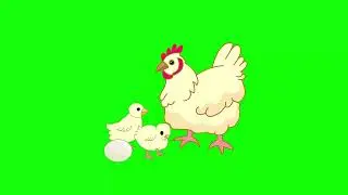 green screen chicken | green screen cartoon | No copyright