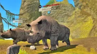 The Wolf - Asian Rhino Champion In Jade Pillars Map 🏆