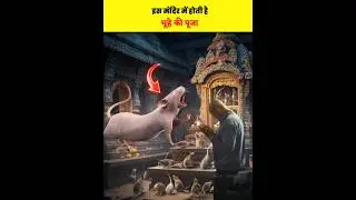 😱🐭यहाँ चुहो की पूजा होती है | इस मंदिर में लोग क्यों करते हैं