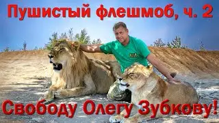 Пушистый флешмоб в поддержку Олега Зубкова, часть 2.