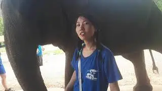 Elephant sanctuary(6)