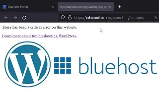 there has been a critical error on this website | Bluehost Wordpress